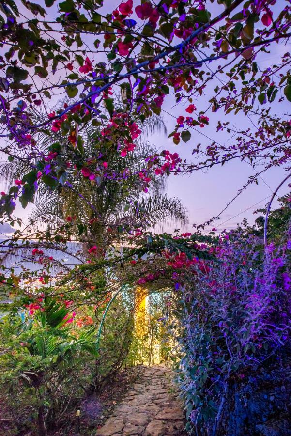 Sunset Palm Lodge ซานกิล ภายนอก รูปภาพ